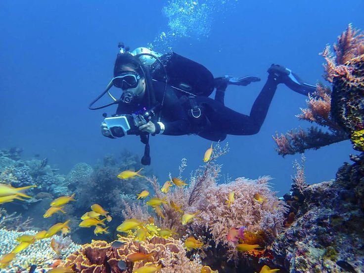 Scuba Diving
