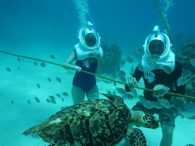 Sea Walking