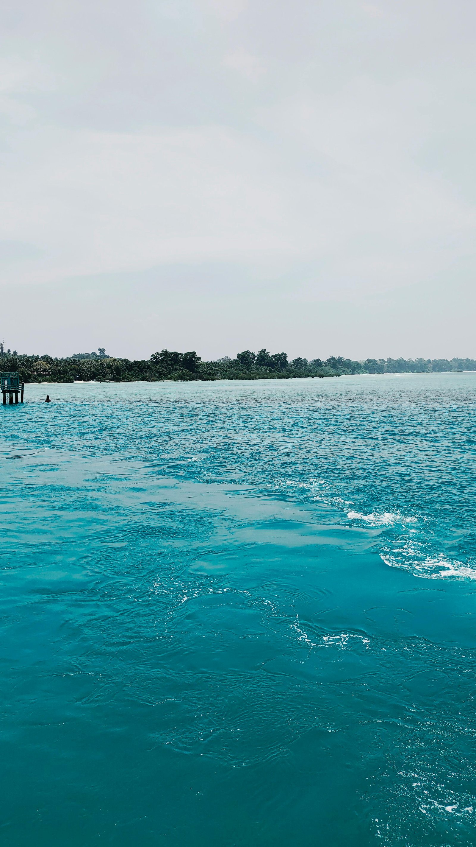 Baratang Island Mangrove Safari